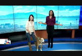 News 3 Live at Twelve-Thirty : KSNV : November 11, 2016 12:30pm-1:00pm PST
